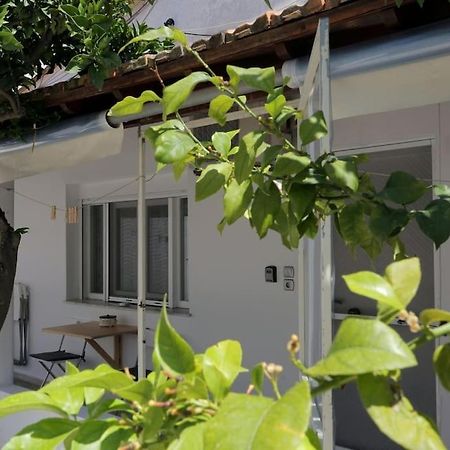 Stamatis Apartment Агиос-Георгиос Экстерьер фото